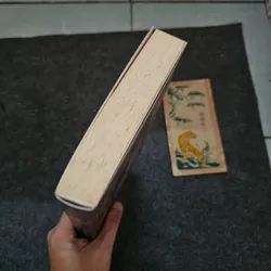 Madame Nhu Trần Lệ Xuân, Quyền lực bà rồng - bản in đầu bị thu hồi 737187