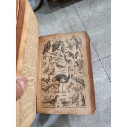 Nouveau petit larousse illustré 122487