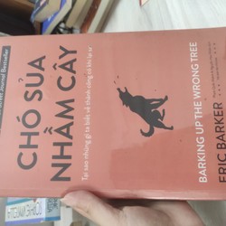 Chó sủa nhầm cây - tại sao những gì ta biết về thành công có khi lại sai 147687