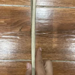 Cơ sở tạo hình - Lê Huy Văn (9) 597105