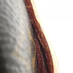 Túi xách vai Louis Vuitton Monogram Boîte Chapeau Souple PM M45149 - Hàng hiệu Chính hãng 768666