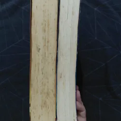 Combo "Mèo hoang" (2 tập) - Đinh Mặc 999792