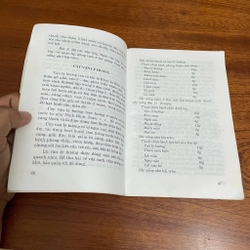 II Cây Thuốc, Bài Thuốc, Món Ăn Chữa Bệnh - Vũ Thái Dương, Tô Hoàng Yến Nhi - 2004 492970