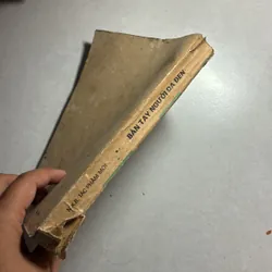 Bàn tay người da đen 736537