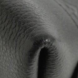 Túi xách Louis Vuitton Monogram Empreinte Neo Alma BB M44829 - Hàng hiệu Chính hãng 805493