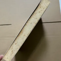 Rich Woman Người phụ nữ giàu - Kim Kiyosaki 796119