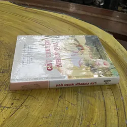 CÂU CHUYỆN NHÂN QUẢ - TÙNG THƯ TỊNH ĐỘ TÔNG 735567