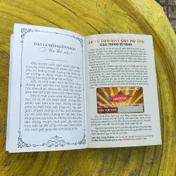 COMBO BÁCH KHOA SỨC KHOẺ ĐÀN ÔNG & BỔ THẬN BÍ QUYẾT UY MÃNH VÀ TRƯỜNG THỌ 796771