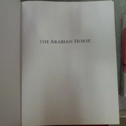 The Arabian House 387417