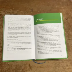 TỪ NÔNG THÔN ĐẾN TRIỆU ĐÔ - LÊ ANH TUẤN 974291