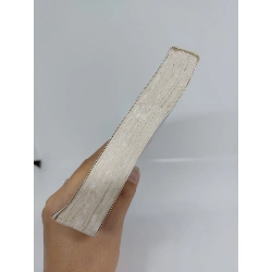 Trong cung nhà Hán Triệu Phi Yến mới 80% 1999 HCM.ANTQ1409 911964