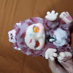 Gấu bông Kimmon (Blindbox - Mèo)