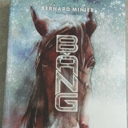 Băng Bernard Minier (Hương Vũ dịch)