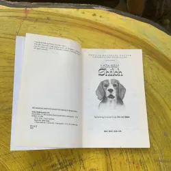COMBO CHÚ CHÓ SHILOH - MÙA SĂN SHILOH - GIẢI CỨU SHILOH- PHYLLIS REYNOLDS NAYLOR 784597