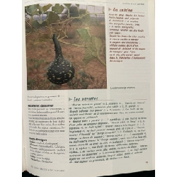 Le Traité Rustica du Potager 999590