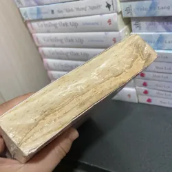 (Tiểu thuyết) - Ngày mai sương muối - Trương Tư Tần Quỳnh 1005033