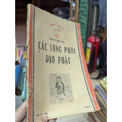 Các tông phái đạo phật - Đoàn Trung Còn