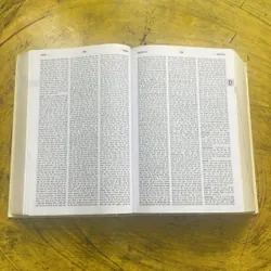 TỪ ĐIỂN ANH - VIỆT ENGLISH - VIETNAMESE DICTIONARY  699410