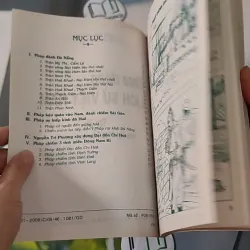 Theo Dòng Lịch Sử Việt Nam: Thực Dân Pháp Xâm Lược Nước Ta - Tập 39 - Lý Thái Thuận 970242