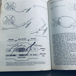 📕 A PRACTICE OF ANAESTHESIA 522575