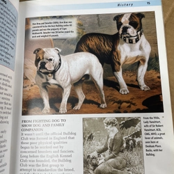 Bulldog - A Kennel Club Book 313504