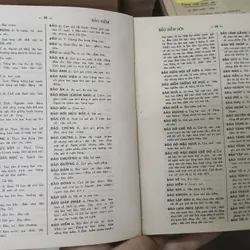 TỰ ĐIỂN VIỆT NAM 716681