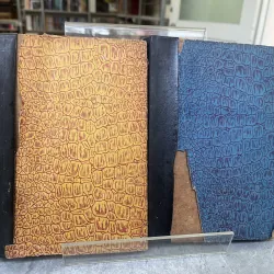 CỘI RỄ - DƯƠNG TƯỜNG 797723