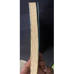 Phía sau một cô gái - PloyHCM01/03 910227