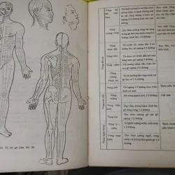 CHÂM CỨU KẾT HỢP CỔ TRUYỀN VỚI HIỆN ĐẠI - LÊ QUÝ NGƯU 588887