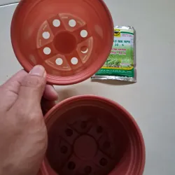 Túi phân bón NPK - chậu nhựa trồng cây 1027564