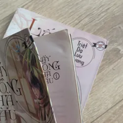 Lấy chồng nhà giàu - Triệt Dạ Lưu Hương 558988