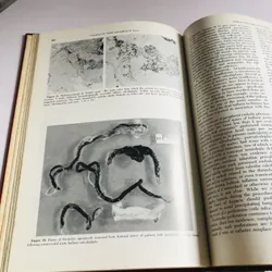 CARDIOLOGY CLINICS – interventional cardiology - BÌA CỨNG, KHỔ TO 697882