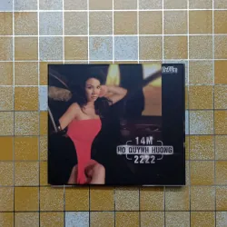 Đĩa album Hồ Quỳnh Hương 974509