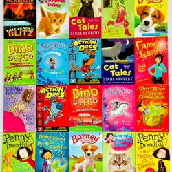 USBORNE ACCELERATED READER STORY COLLECTION 20 Books Box Set 384264