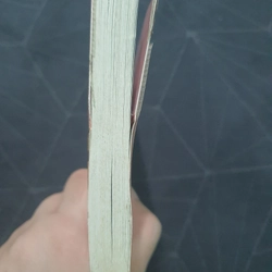 "Lễ tình nhân đến muộn" - Tử Trừng 518310