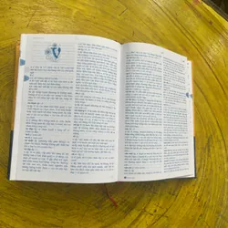TỪ ĐIỂN TIẾNG VIỆT THÔNG DỤNG- CHỦ BIÊN GS HOÀNG PHÊ 562618