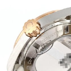 Đồng hồ Omega Seamaster Aqua Terra RG Combi･11P 231.28.30.20.55.001 SSxPG Tự động - Hàng hiệu Chính hãng 882189