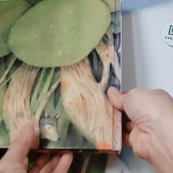 [Tặng nẹp góc] Truyện thiếu nhi Hàn Quốc: Moyamo Anu 22 -  모야모 아누와: 모기는 어떻게 생겨났는가;. 보여요?  732014