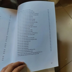Bộ xương người nói với chúng ta điều gì 526451