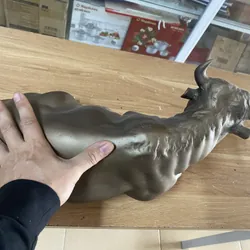 Bò, hay trâu kiem loại? 719402