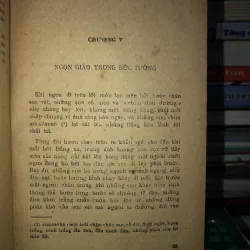 Donha Bacbara - Romulo Gadegox 787602