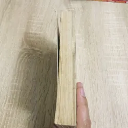 MIỀN QUÊ YÊN TĨNH ( truyện dài) 1024314