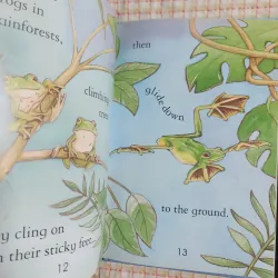 COMBO USBORNE YOUNG READING: FROGS – GLADIATORS – THE STORY OF FOOTBALL – HANSEL & GRETEL 961690