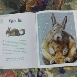 An Anthology of Intriguing Animals 538463