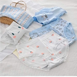 Quần lót bé gái vải cotton size 35 - 50kg 455303