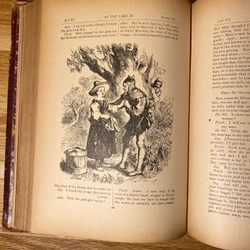 Shakespeare Art Edition - Bản Nghệ Thuật Tranh Minh Hoạ.  533700