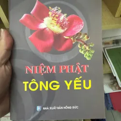 S170. NIỆM PHẬT TÔNG YẾU