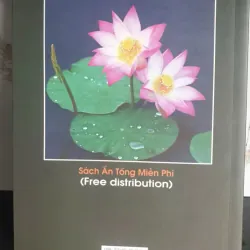 Khai Thị Trọng Yếu 675200