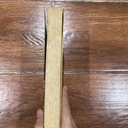 Đêm giới nghiêm (9) 946525