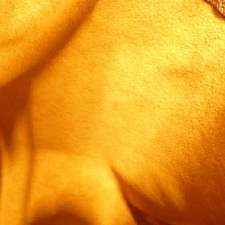 Túi xách vai Louis Vuitton Monogram Musette M51256 - Hàng hiệu Chính hãng 768394